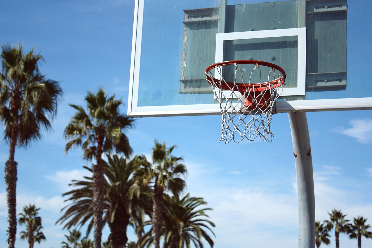 About basketball, basketball hoop, board, backboard, baksetball ring, game, sport, play, pine trees, baketball board, baksetball equipment, basketball, basketball, basketball, basketball hoop, basketball hoop, basketball hoop, basketball hoop, basketball hoop